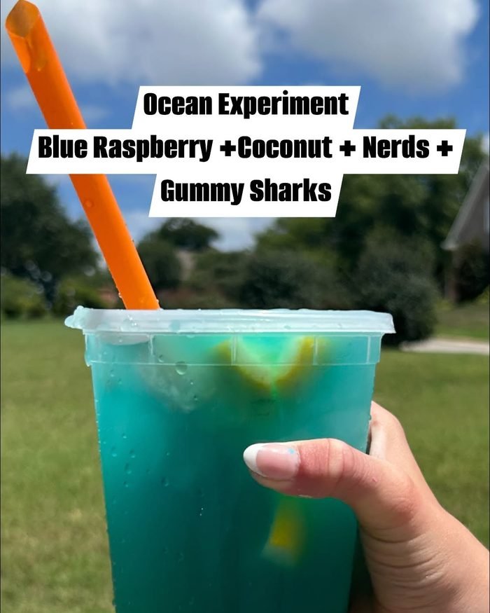 Ocean Experiment with gummy sharks